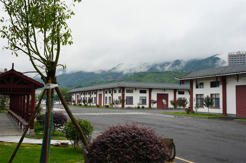 厂区绿化风景